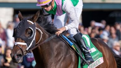 Idiomatic Climbs to Eighth in NTRA Thoroughbred Poll