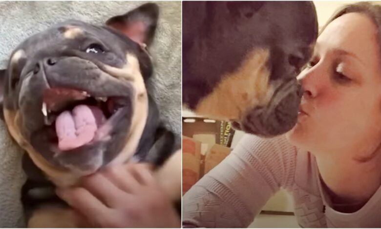 Pup Wasn't Given A Lot Of Time, Couple Adopts Him And Makes Each Day Count