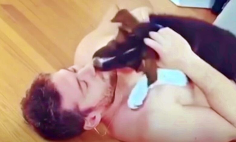 Handsome Dad 'Accidentally Falls In Love' With Foster Puppies He Can't Keep