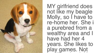 Girlfriend Gave Her Partner An 'Ultimatum', Demands Either “The Dog Goes” Or “She Goes”