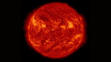Solar flare alert! NASA observatory reveals threat of M-class flare