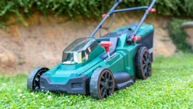 Why my lawnmower is electric but my car isn’t