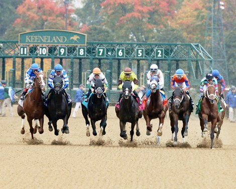 On-Track Wagering Surges at Keeneland Fall Meet