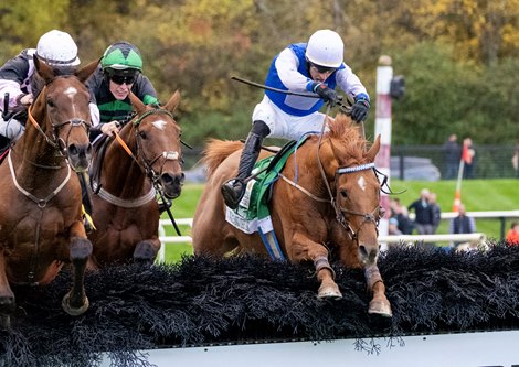 Noah And The Ark Sails Clear in Grand National