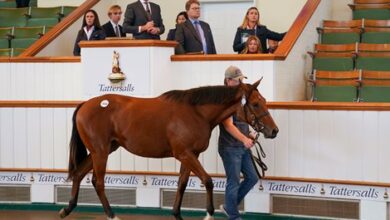 Dubawi Filly From Famous Family Tops at 725,000gns