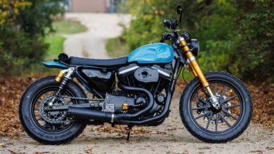 Sportsters Forever: David Zemla's custom Harley XLH 883