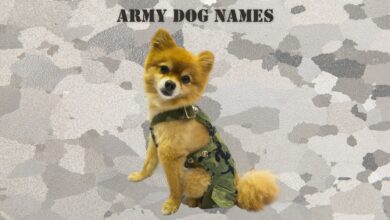 dog in costume Army uniform with Army Dog Names at top of image