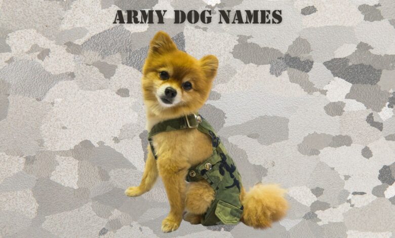 dog in costume Army uniform with Army Dog Names at top of image
