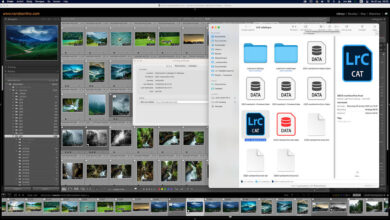 5 Tips for Keeping Your Photos and Lightroom Catalog Safe
