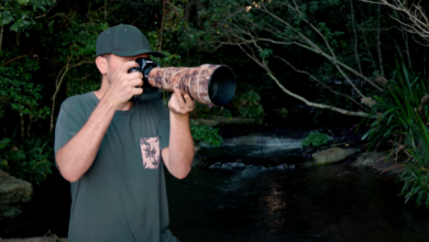 A Review of the New Nikon NIKKOR Z 600mm f/6.3 VR S Lens