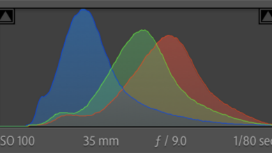 Is the Histogram Still Relevant in Today's Photography?