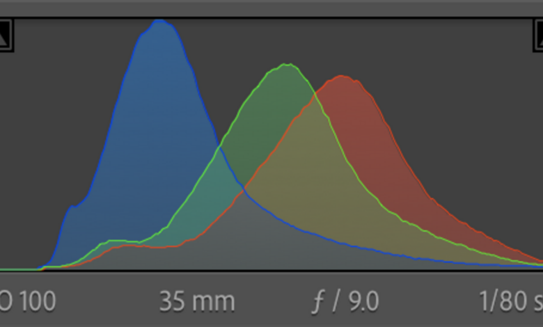 Is the Histogram Still Relevant in Today's Photography?
