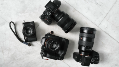 Raising a Toast to a Decade of Full Frame Sony E Mount