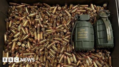 Ukraine war: Grenade birthday gift kills army chief Zaluzhny's aide