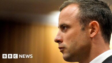 Oscar Pistorius to be freed on parole