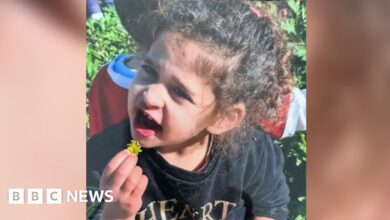 Israel-Gaza: Four-year-old girl among released hostages