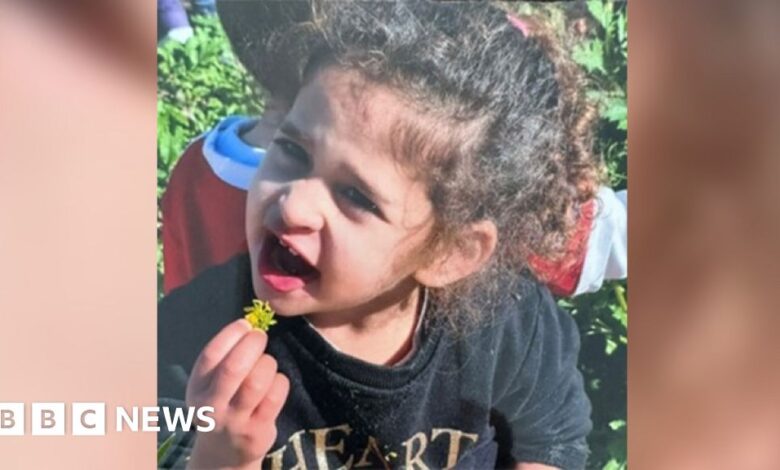 Israel-Gaza: Four-year-old girl among released hostages
