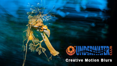 The Underwater Club Event: Creative Motion Blurs