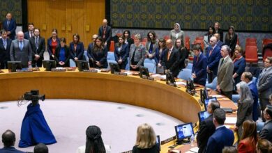 UPDATING LIVE: Security Council meets again on Israel-Palestine crisis