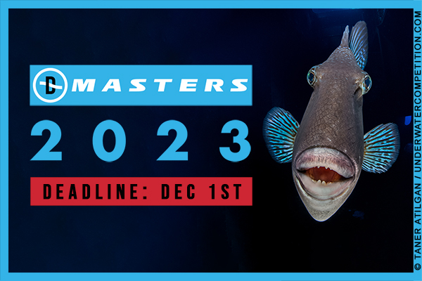 Final Week: DPG Masters 2023 Competition