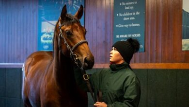 No Fireworks on Day 1 of Goffs Autumn Yearling Sale