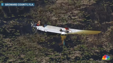 Crashed Pilot Spends 9 Gator-Fearing Hours Stranded Everglades