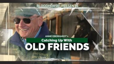 Catching Up With Old Friends: Bold and Bossy