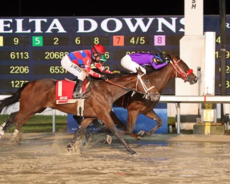 Spinning Aces Becomes First Stakes Winner for Hard Aces