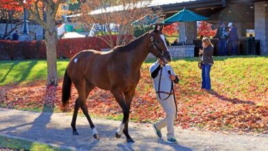 Three Witches Casts $1.7M Spell on Keeneland November