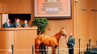 Outs Contribute to Drop in Keeneland HORA Sale Figures