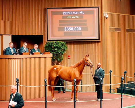 Outs Contribute to Drop in Keeneland HORA Sale Figures