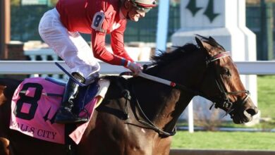 Xigera, Star Fortress Top Thanksgiving Stakes Results