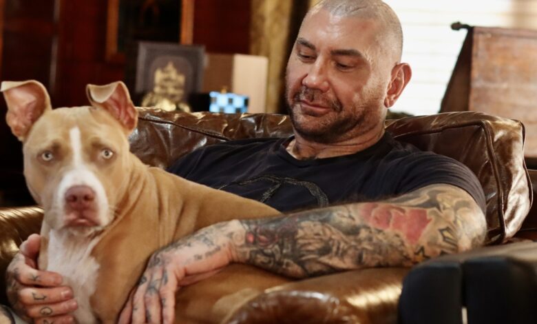 Dave Bautista and his pit bull