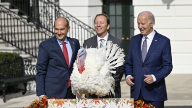 Biden Pardons National Thanksgiving Turkeys On His 81st B-Day