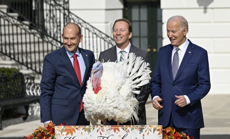 Biden Pardons National Thanksgiving Turkeys On His 81st B-Day
