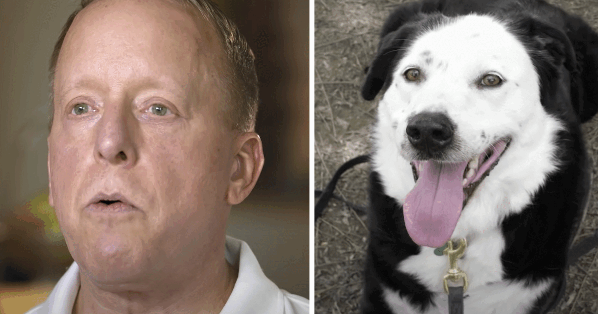 Man’s Told He Had 5-Years To Live, So He Goes To Shelter And Asks For An Obese, Middle-Aged Dog