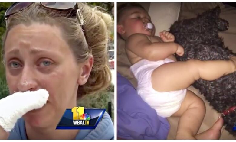 Mom Can’t Reach 8-Month-Old Baby 'Caught' In Fire With Puppy, Dog Sacrifices Himself To Save Her