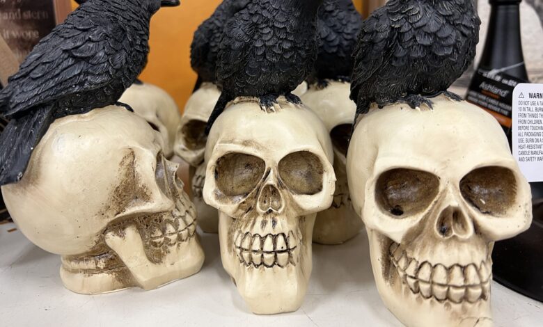 FL Police Investigate Human Skull Found In Antique Store