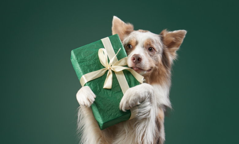 Top 12 Gifts That Give Back To Shelter Dogs!