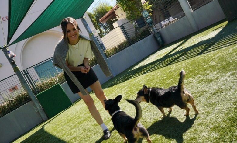 Rachel Bilson Joins in A Dog Day of Service