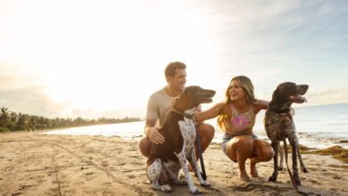 Purina® Prime Dog Treats and Chews, Along with Adventure Enthusiasts JoJo Fletcher and Jordan Rodgers Launch an Everyday Adventure Guide for Dog Lovers