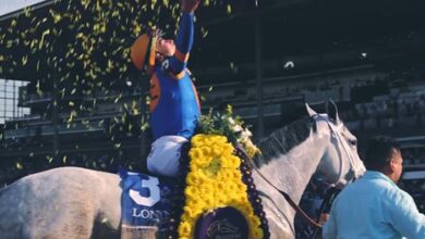 Unforgettable Moments from 40th Breeders' Cup - Video -