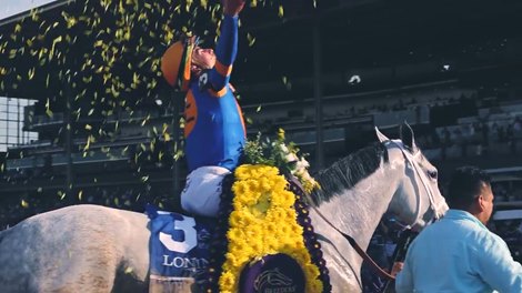 Unforgettable Moments from 40th Breeders' Cup - Video -