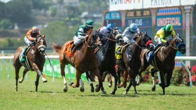 Del Mar Opens Fall Meet Nov. 10 With Let It Ride Stakes