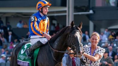Little Impact From Breeders' Cup on World Rankings