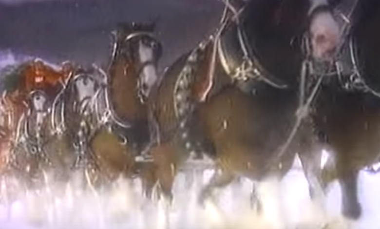This Christmas Clip Featuring The Clydesdales Is One For The Season