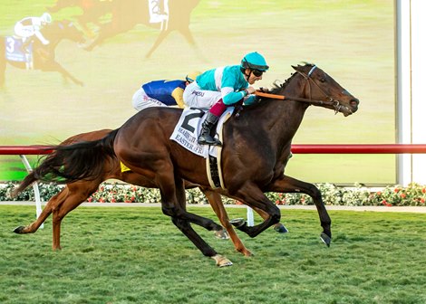 D'Amato Runners Take Trifecta in Seabiscuit Handicap