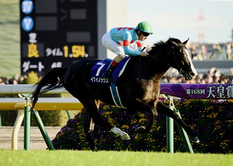 'World's Best Horse' Equinox Headlines Japan Cup
