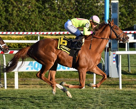 Chili Flag, Spirit Prince Notch Aqueduct Feature Stakes