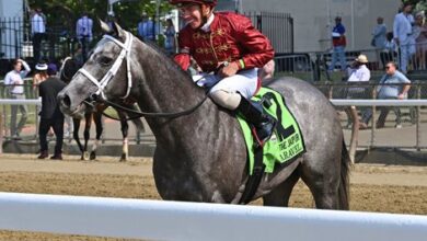 Caravel Primed for Repeat in Breeders' Cup Turf Sprint